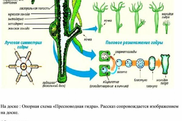Кракен онион рабочая ссылка